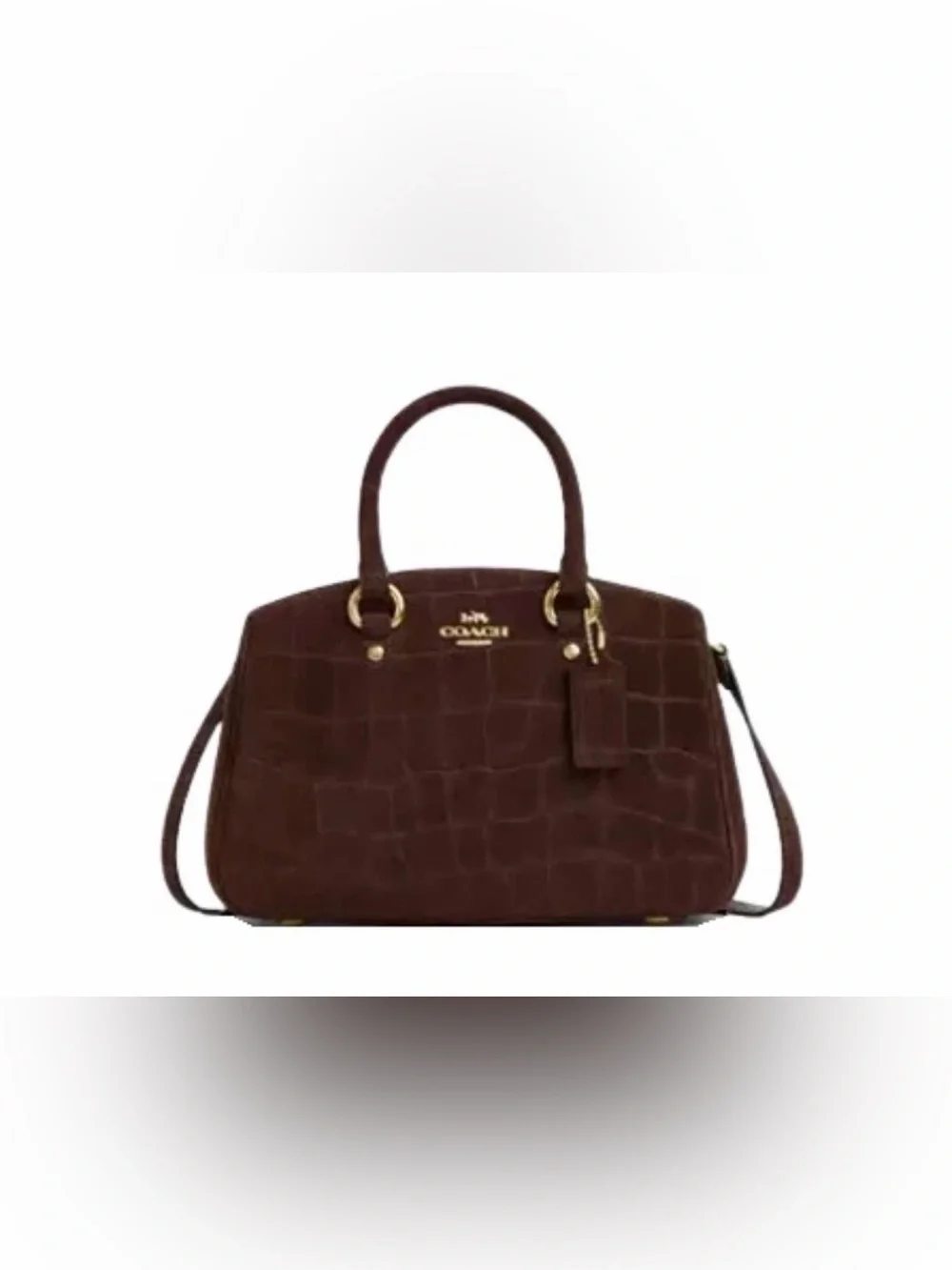 Coach SAVANNAH SMALL CARRYALL BAG